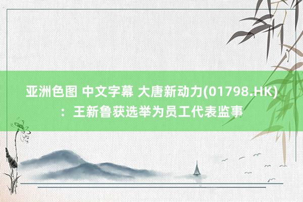 亚洲色图 中文字幕 大唐新动力(01798.HK)：王新鲁获选举为员工代表监事