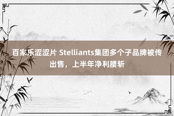 百家乐涩涩片 Stelliants集团多个子品牌被传出售，上半年净利腰斩