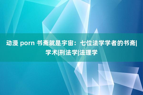 动漫 porn 书斋就是宇宙：七位法学学者的书斋|学术|刑法学|法理学